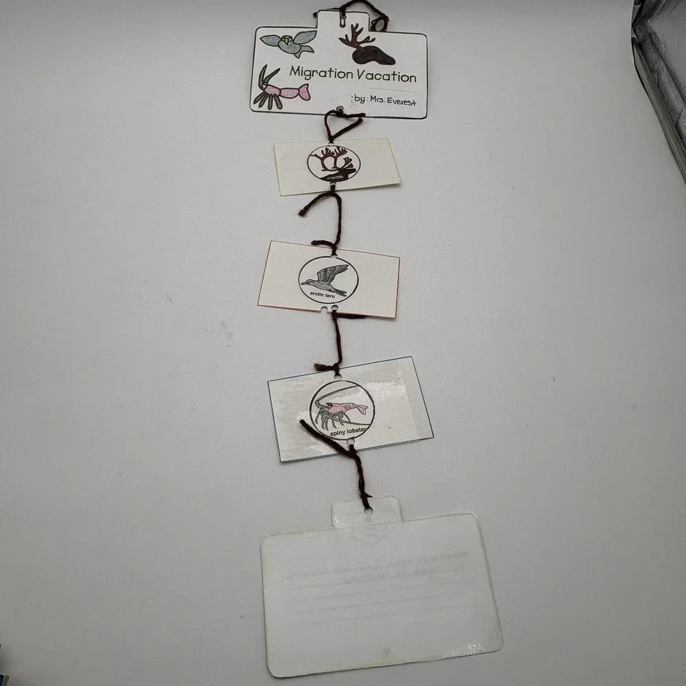 Vintage Migration Vacation Bats Birds Classroom‎ Teaching Aids Laminated Lot
